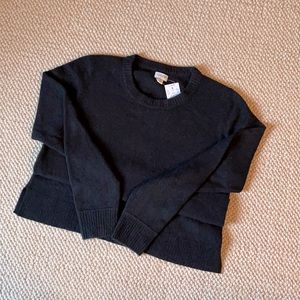 J.Crew  Crew new Sweater Medium w/t